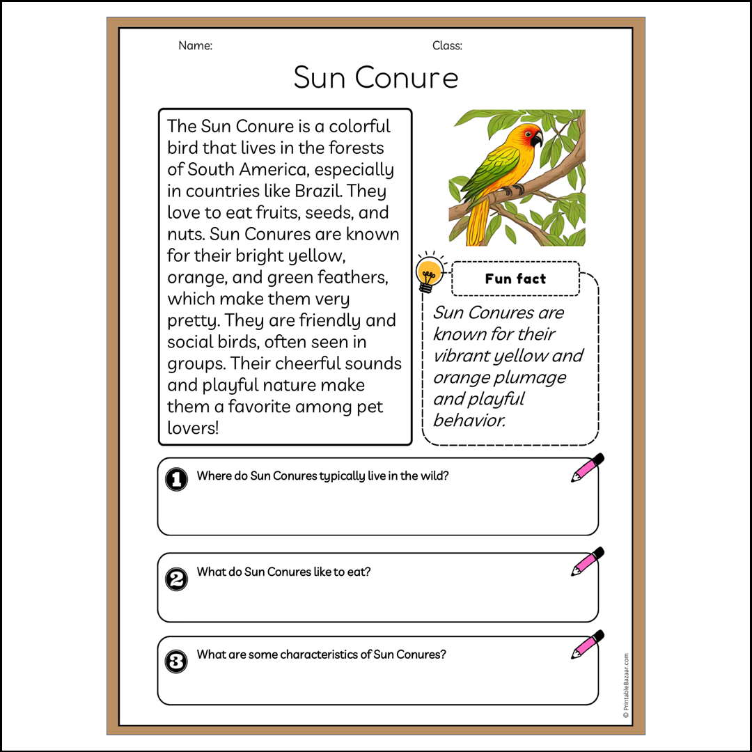 Sun Conure | Reading Passage Comprehension Questions Writing Facts Worksheet