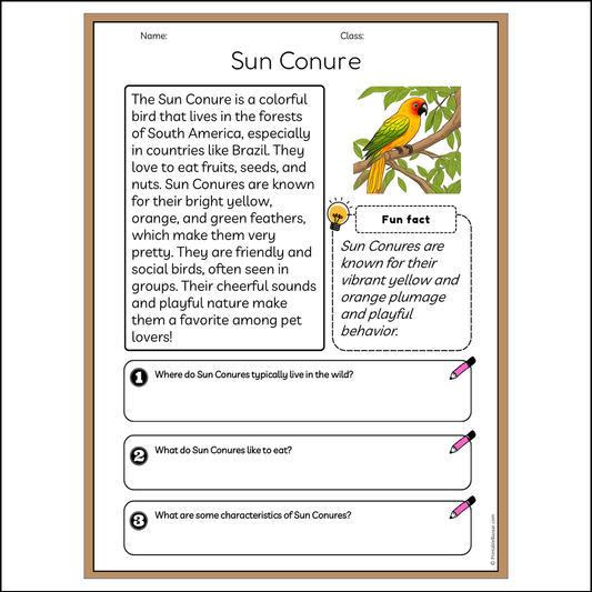 Sun Conure | Reading Passage Comprehension Questions Writing Facts Worksheet