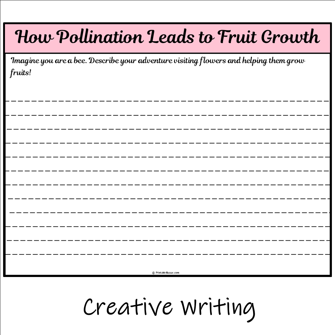 How Pollination Leads to Fruit Growth | Main Idea and Supporting Details Reading Passage and Questions