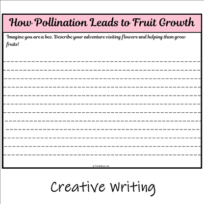 How Pollination Leads to Fruit Growth | Main Idea and Supporting Details Reading Passage and Questions