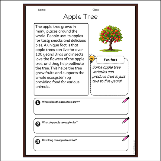 Apple Tree | Reading Passage Comprehension Questions Writing Facts Worksheet