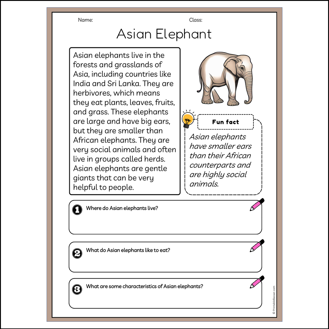 Asian Elephant | Reading Passage Comprehension Questions Writing Facts Worksheet