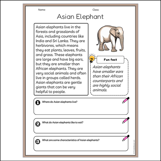 Asian Elephant | Reading Passage Comprehension Questions Writing Facts Worksheet