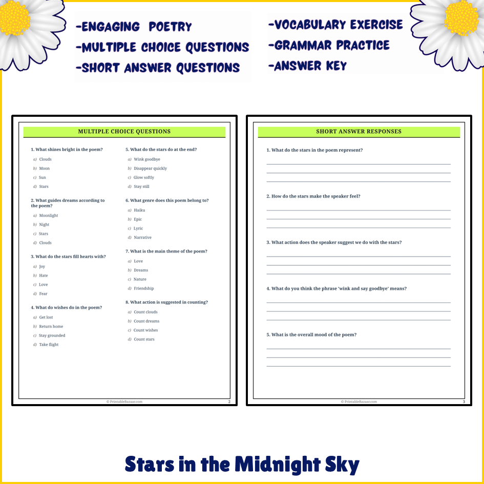 Stars in the Midnight Sky | Poem Grammar Worksheet Printable Activity