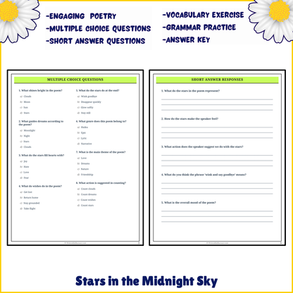 Stars in the Midnight Sky | Poem Grammar Worksheet Printable Activity