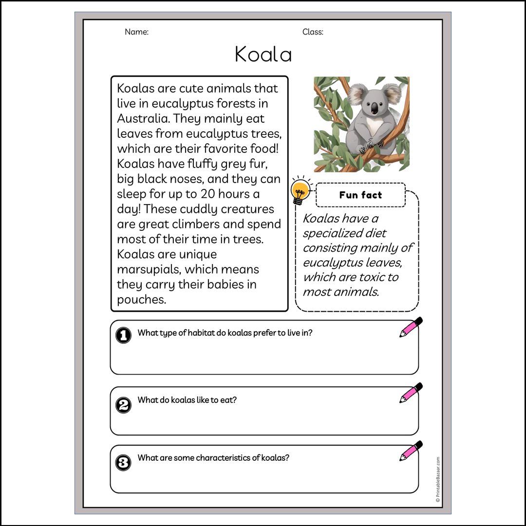 Koala | Reading Passage Comprehension Questions Writing Facts Worksheet