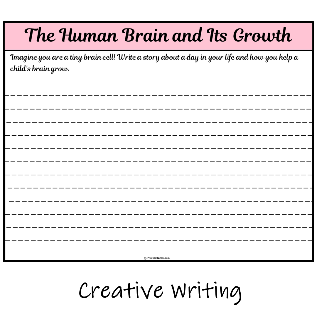 The Human Brain and Its Growth | Main Idea and Supporting Details Reading Passage and Questions