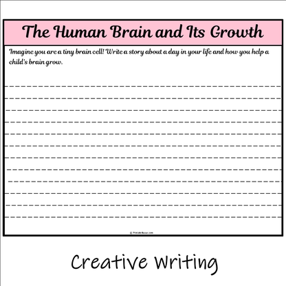 The Human Brain and Its Growth | Main Idea and Supporting Details Reading Passage and Questions