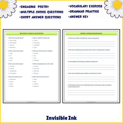 Invisible Ink | Poem Grammar Worksheet Printable Activity