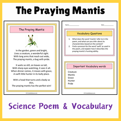 The Praying Mantis | Science Poem Reading Comprehension Activity