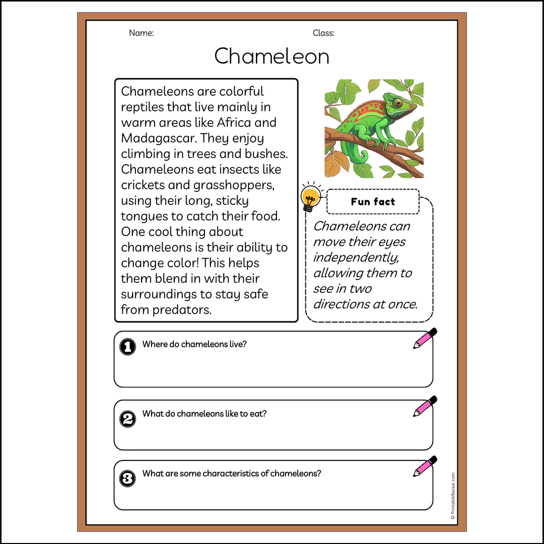 Chameleon | Reading Passage Comprehension Questions Writing Facts Worksheet