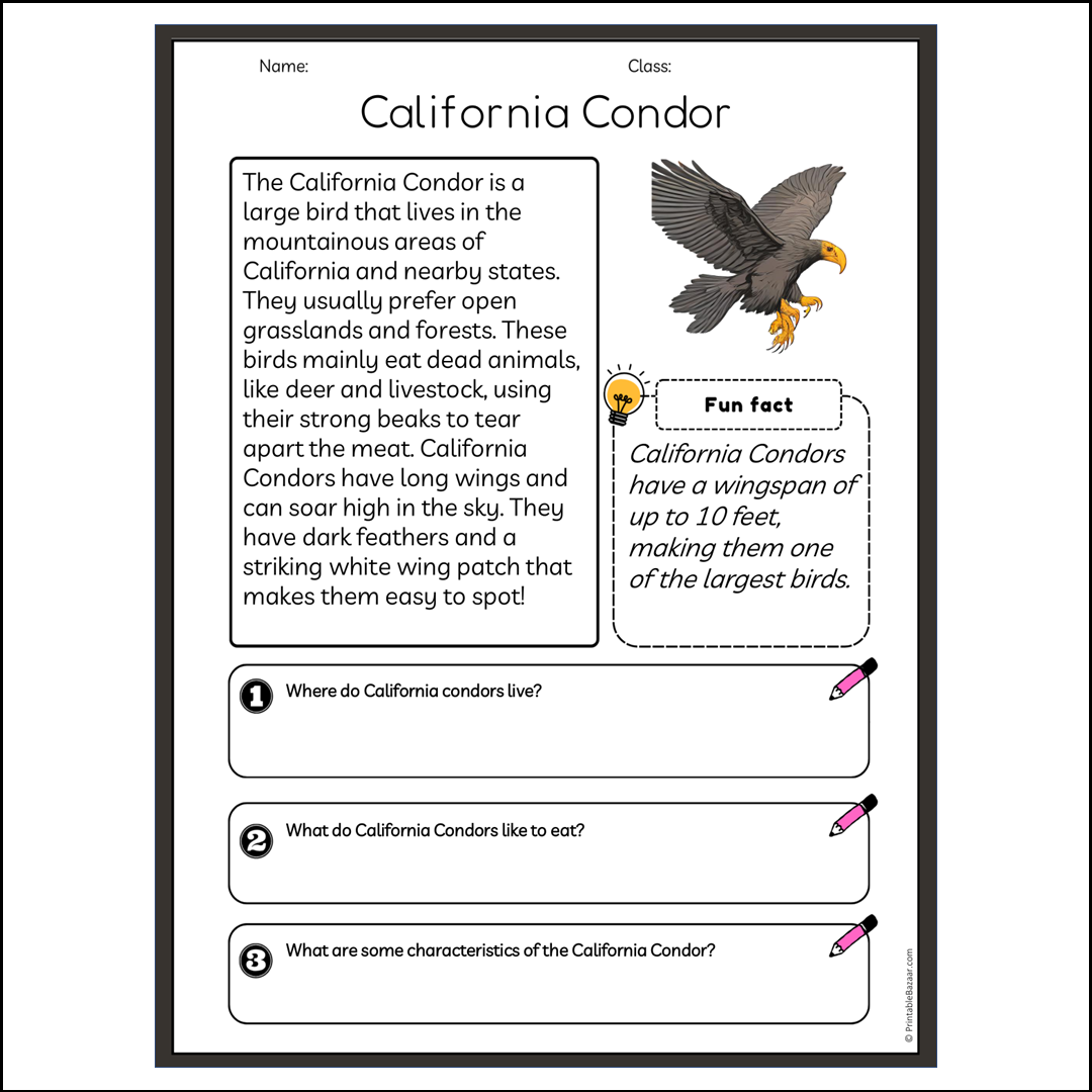 California Condor | Reading Passage Comprehension Questions Writing Facts Worksheet