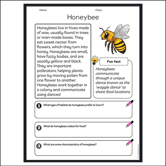 Honeybee | Reading Passage Comprehension Questions Writing Facts Worksheet