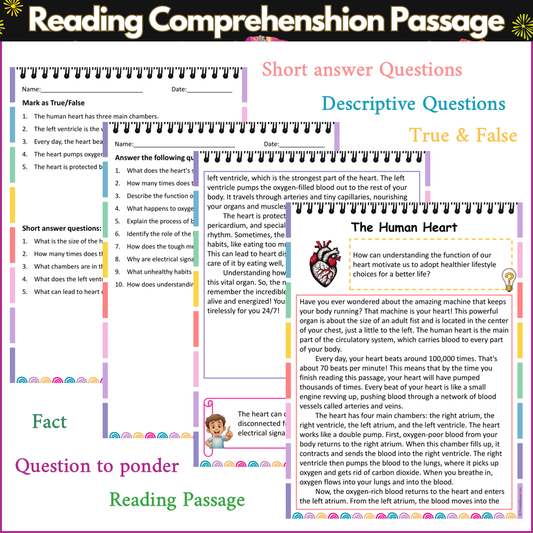 The Human Heart | Reading Comprehension Passage and Questions