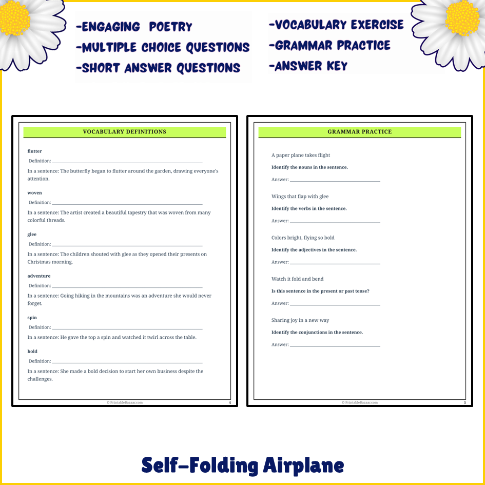 Self-Folding Airplane | Poem Grammar Worksheet Printable Activity