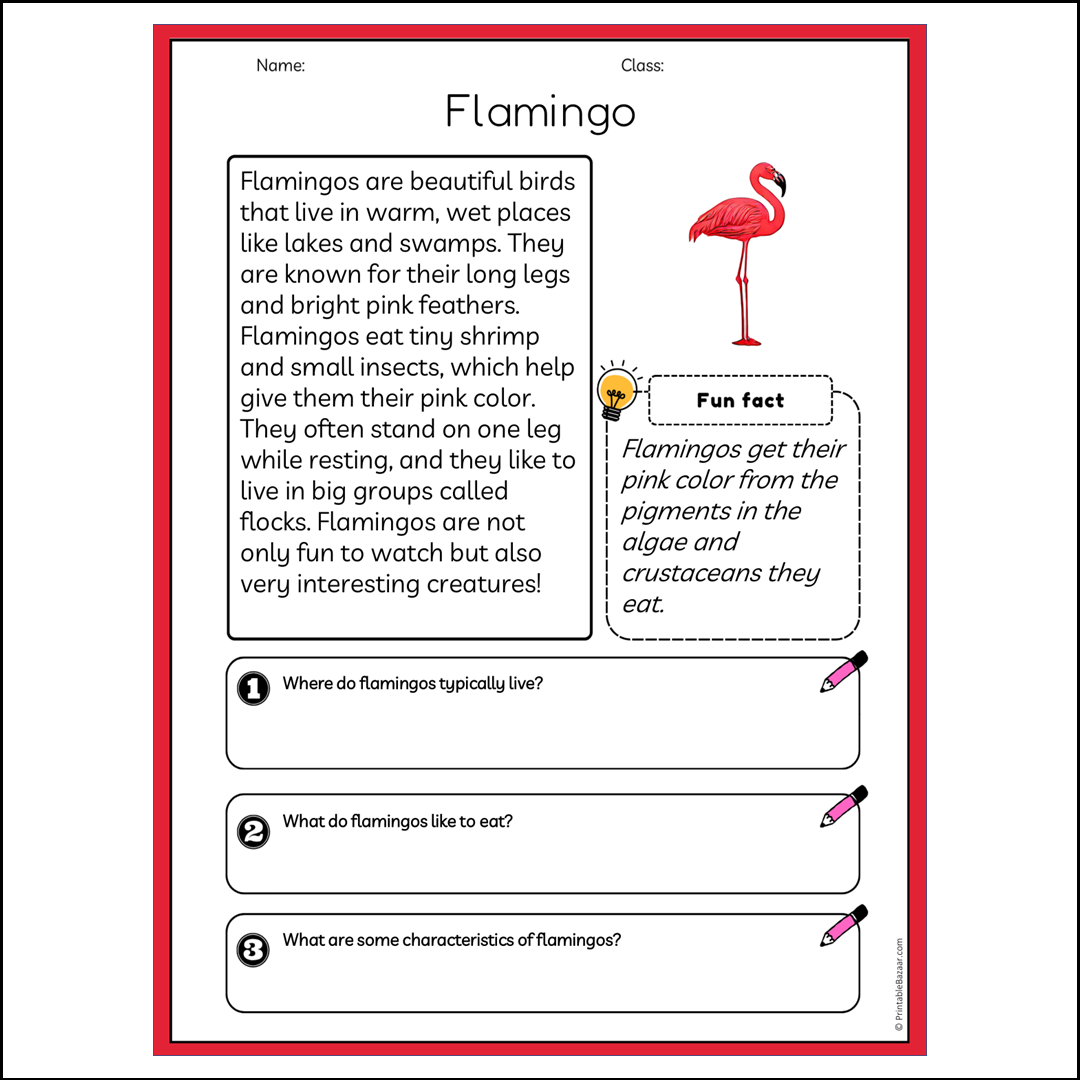 Flamingo | Reading Passage Comprehension Questions Writing Facts Worksheet