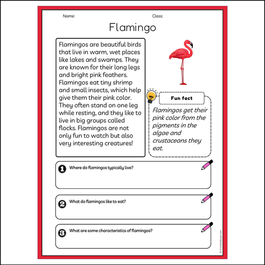 Flamingo | Reading Passage Comprehension Questions Writing Facts Worksheet