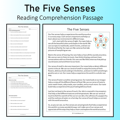 The Five Senses | Reading Comprehension Passage Printable Worksheet