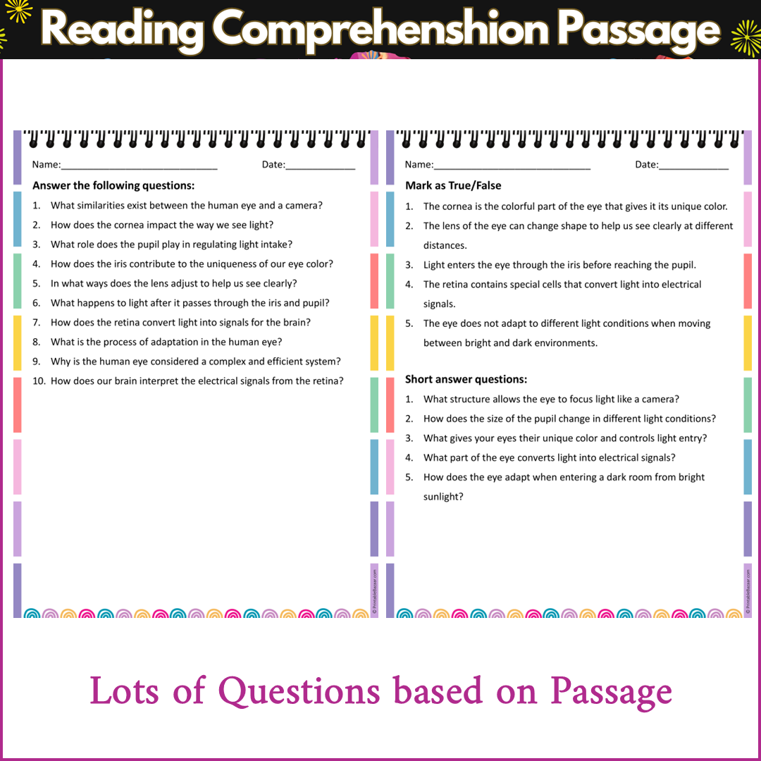 The Human Eye | Reading Comprehension Passage and Questions