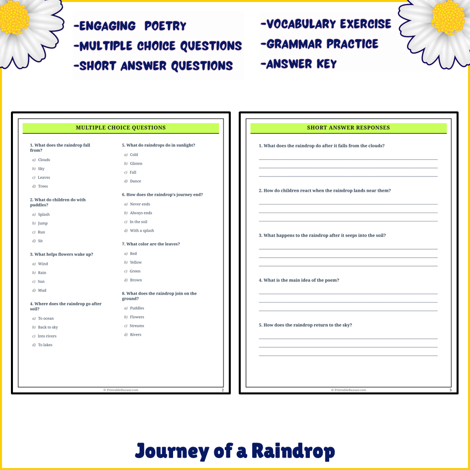 Journey of a Raindrop | Poem Grammar Worksheet Printable Activity