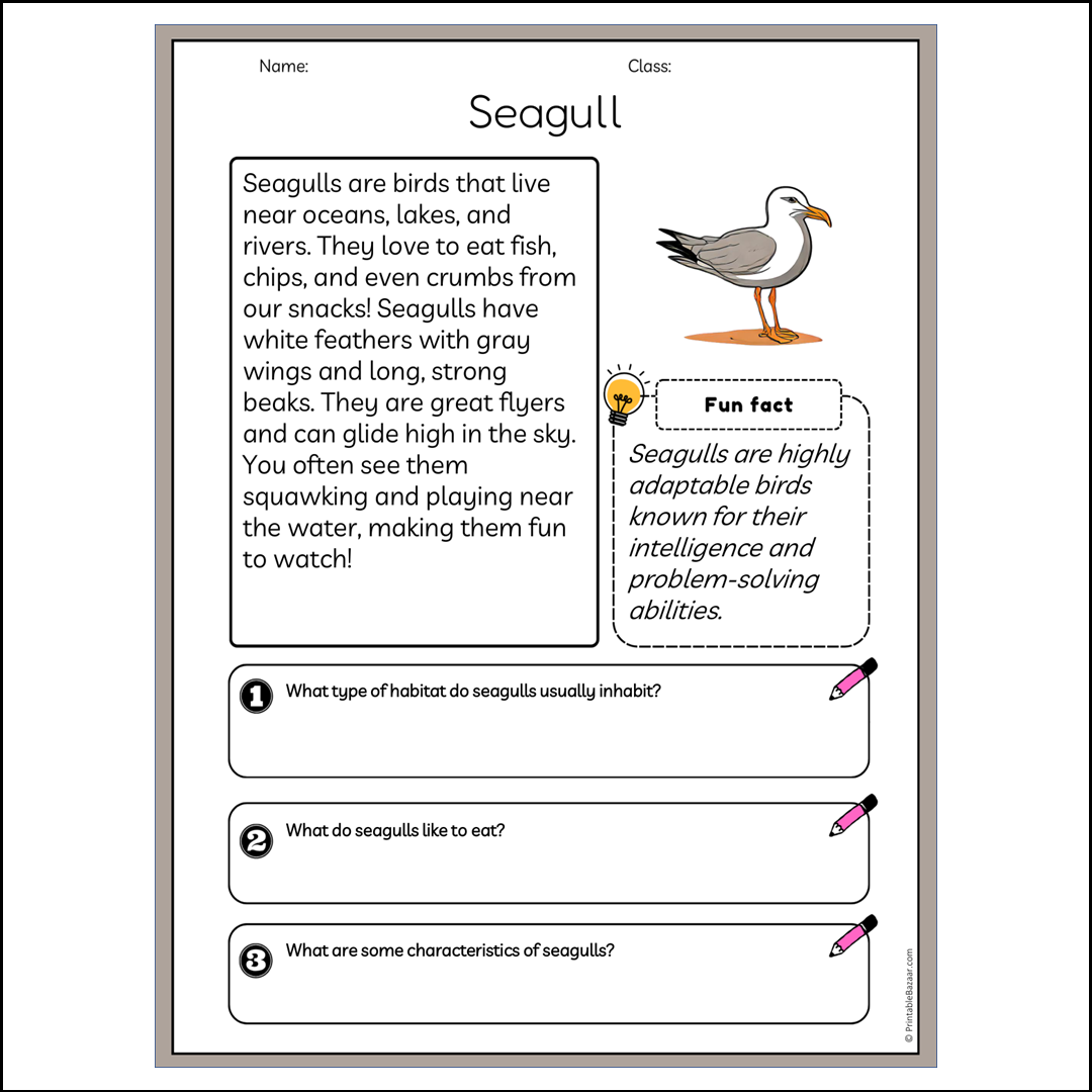 Seagull | Reading Passage Comprehension Questions Writing Facts Worksheet