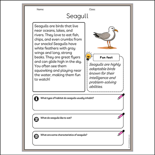 Seagull | Reading Passage Comprehension Questions Writing Facts Worksheet