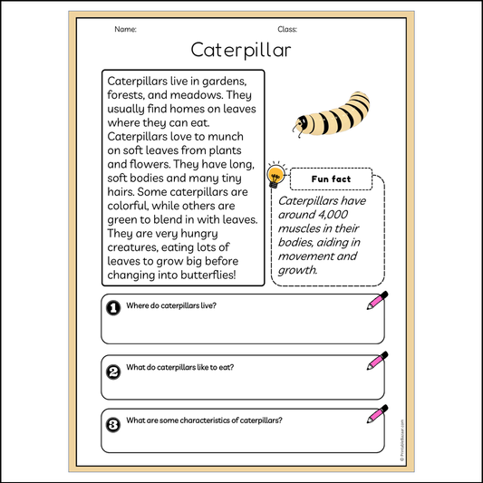 Caterpillar | Reading Passage Comprehension Questions Writing Facts Worksheet