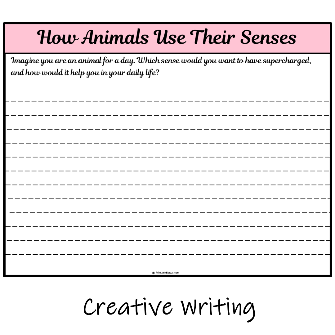 How Animals Use Their Senses | Main Idea and Supporting Details Reading Passage and Questions