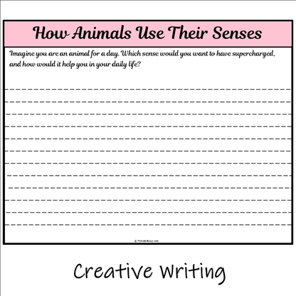 How Animals Use Their Senses | Main Idea and Supporting Details Reading Passage and Questions