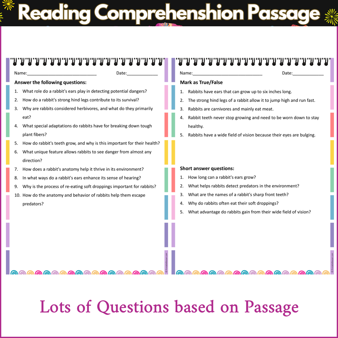 Anatomy of a Rabbit | Reading Comprehension Passage and Questions