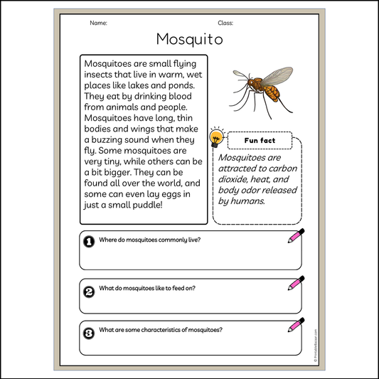 Mosquito | Reading Passage Comprehension Questions Writing Facts Worksheet