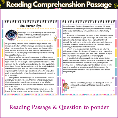 The Human Eye | Reading Comprehension Passage and Questions