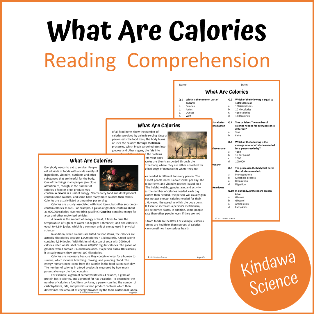 What Are Calories Reading Comprehension Passage and Questions | Printable PDF