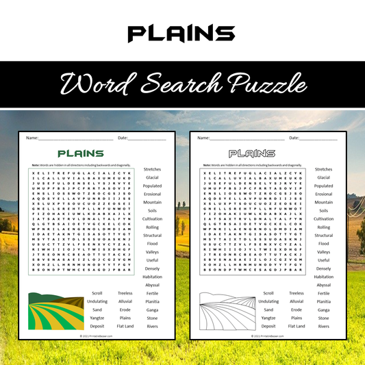 Plains Word Search Puzzle Worksheet PDF