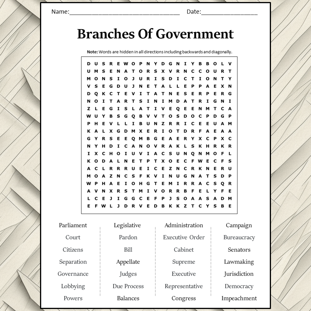 Branches Of Government Word Search Puzzle Worksheet Activity PDF