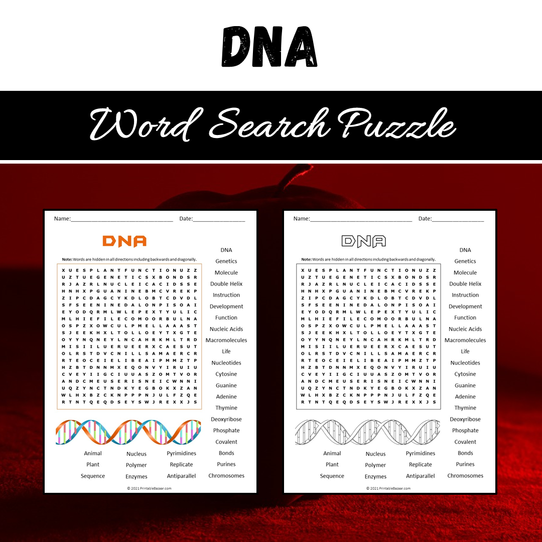 Dna Word Search Puzzle Worksheet PDF
