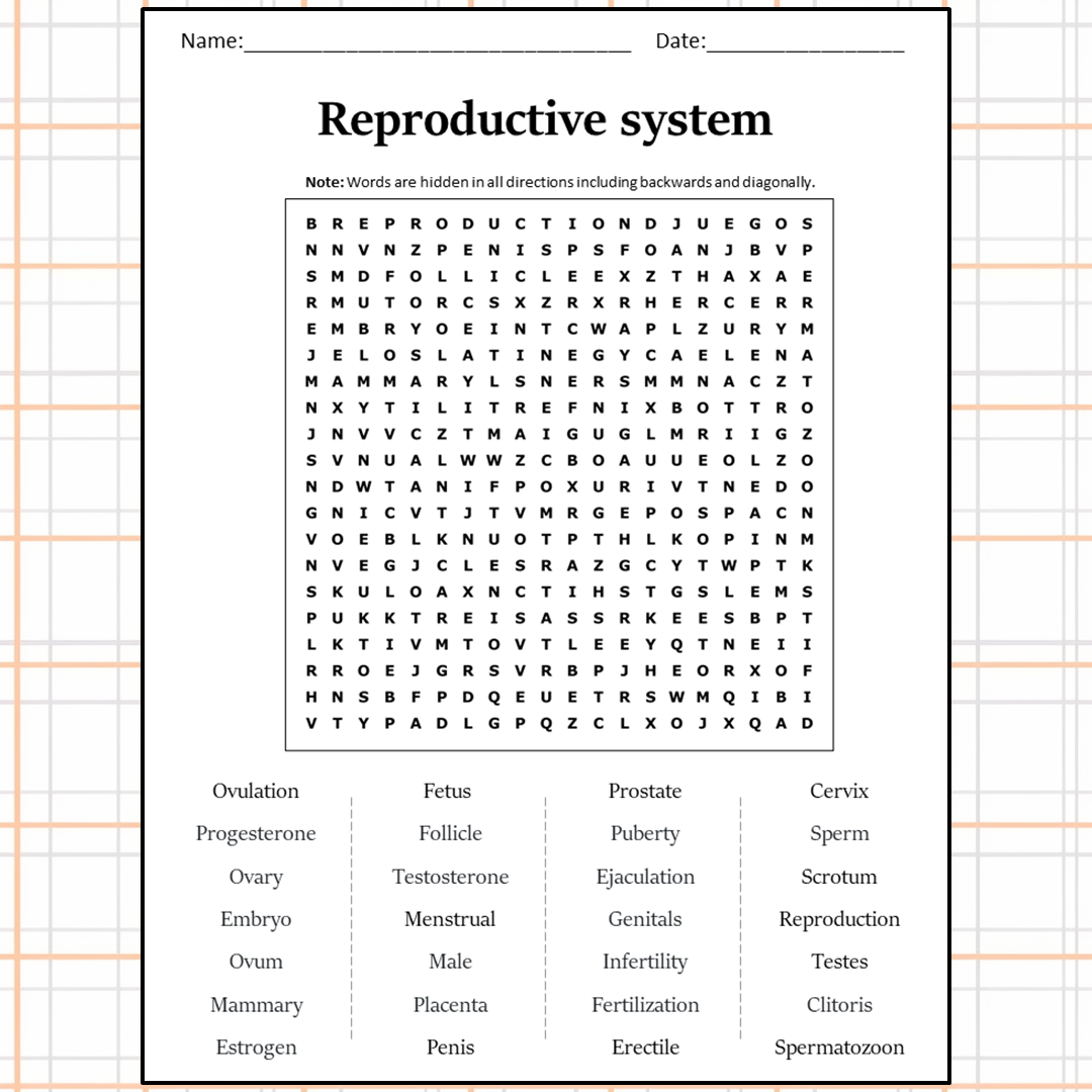 Reproductive System Word Search Puzzle Worksheet Activity PDF