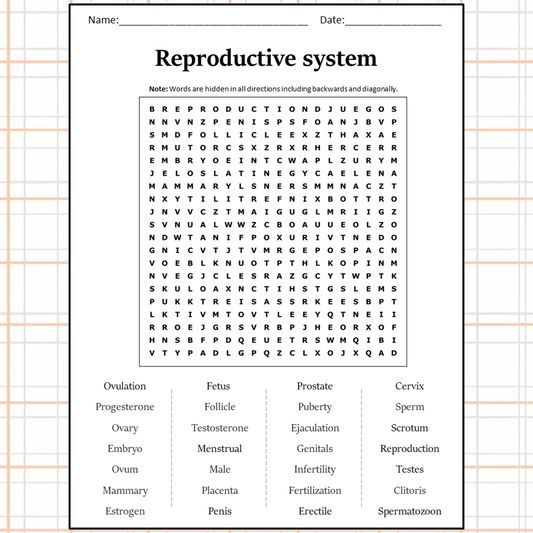 Reproductive System Word Search Puzzle Worksheet Activity PDF