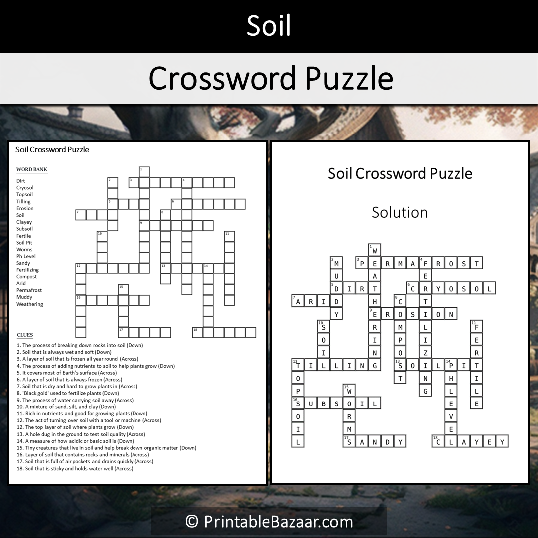 Soil Crossword Puzzle Worksheet Activity Printable PDF