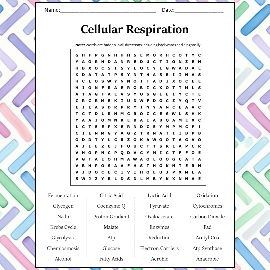 Cellular Respiration Word Search Puzzle Worksheet Activity PDF