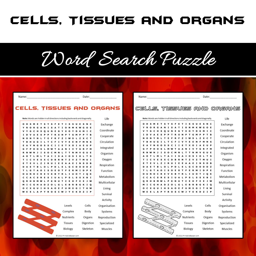 Cells, Tissues and Organs Word Search Puzzle Worksheet PDF
