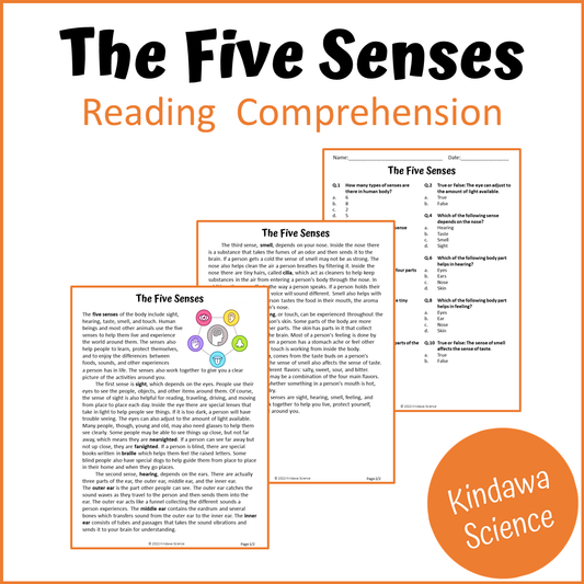 The Five Senses Reading Comprehension Passage and Questions | Printable PDF