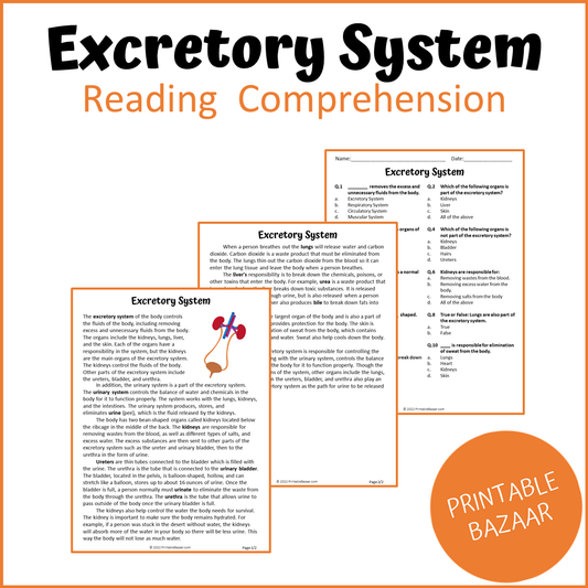 Excretory System Reading Comprehension Passage and Questions | Printable PDF