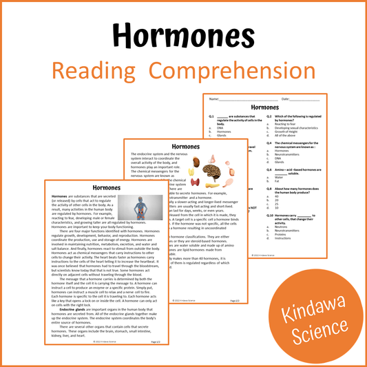 Hormones Reading Comprehension Passage and Questions | Printable PDF