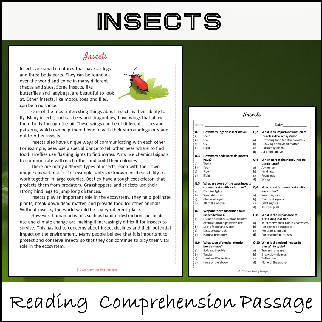 Insects Reading Comprehension Passage and Questions | Printable PDF