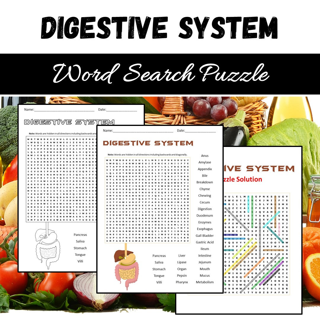 Digestion System Word Search Puzzle Worksheet PDF