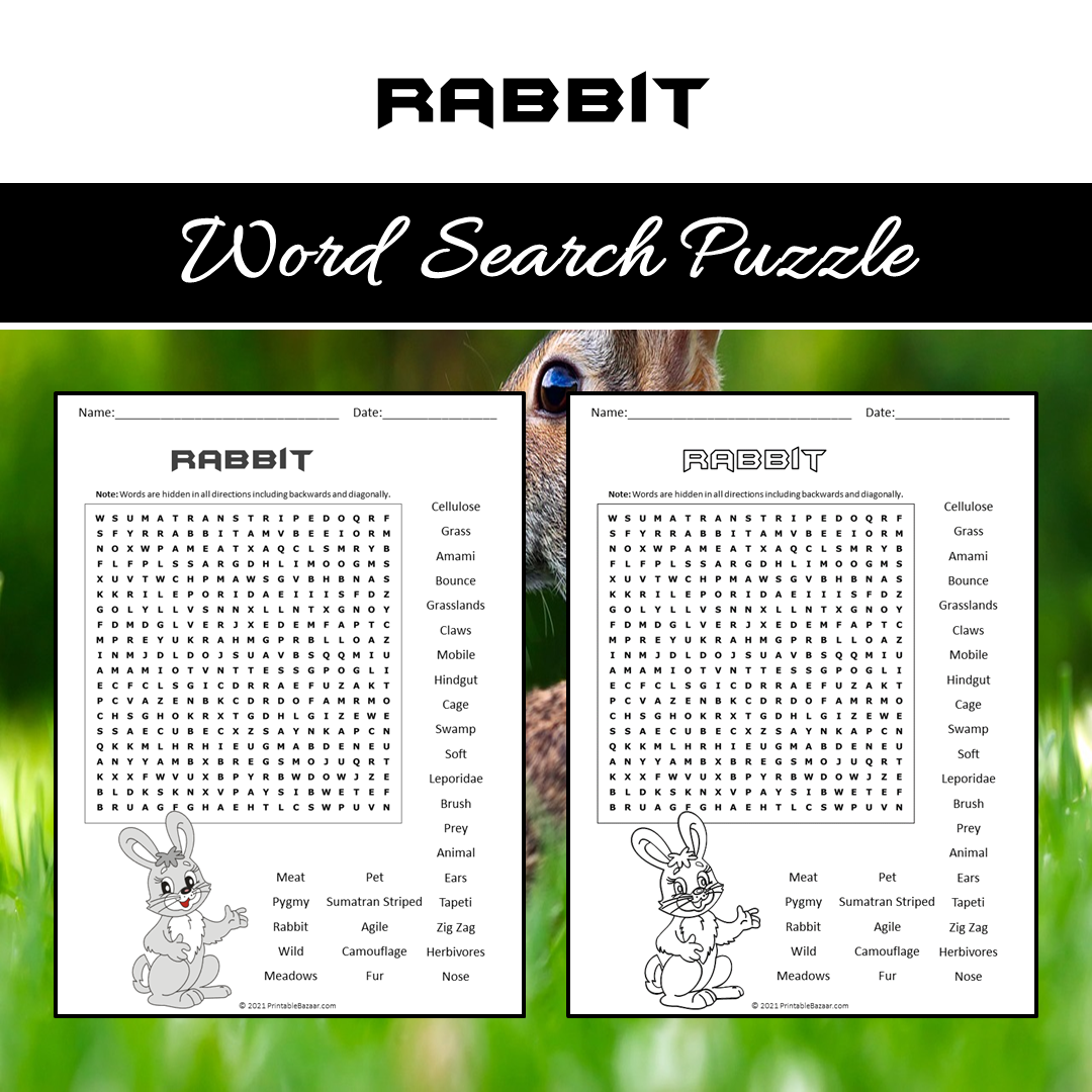 Rabbit Word Search Puzzle Worksheet PDF