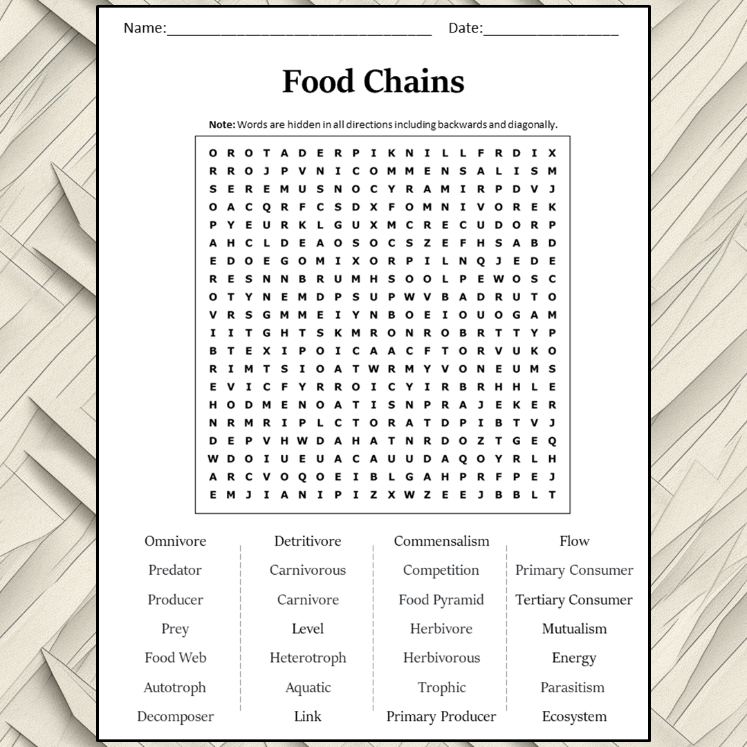 Food Chains Word Search Puzzle Worksheet Activity PDF