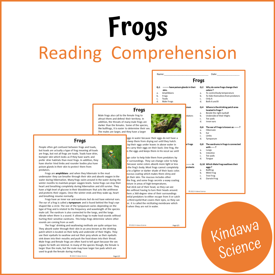 Frogs Reading Comprehension Passage and Questions | Printable PDF