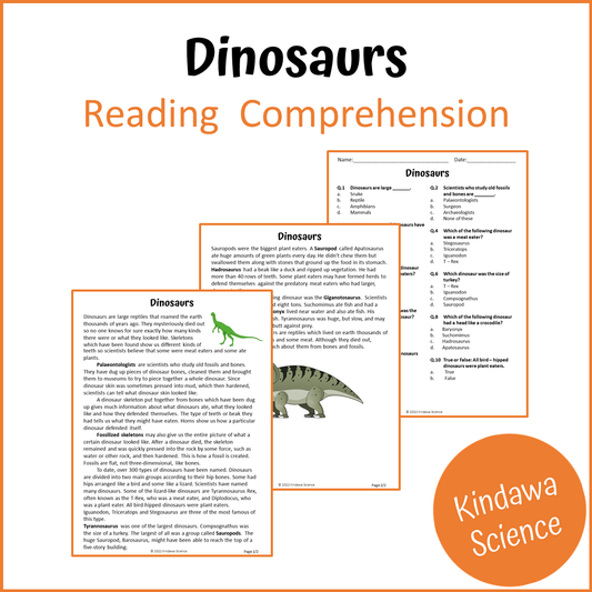 Dinosaurs Reading Comprehension Passage and Questions | Printable PDF